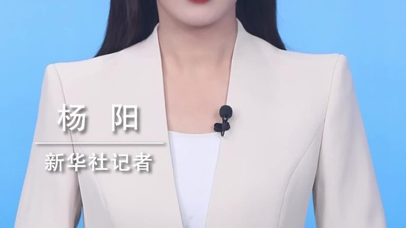 金融行业数据安全解决方案：如何构建坚固的数字防线**